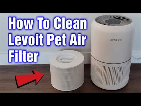 Can You Wash Levoit Air Purifier Filter?