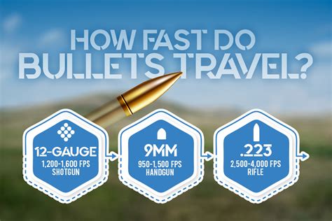 How Far Can Bullets Travel in Water: And Why Do Fish Never Wear Bulletproof Vests?