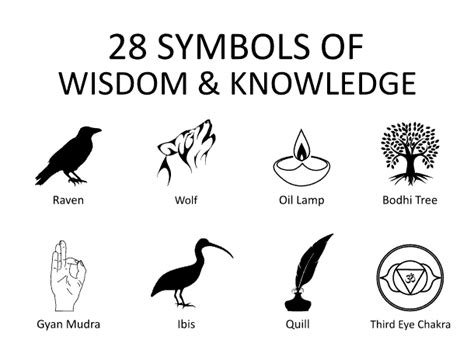 What Animal Represents Knowledge: A Dive into Symbolism and Interpretation